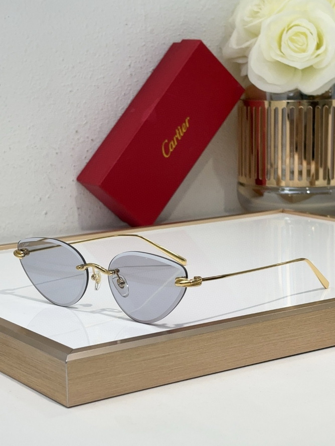 Cartier Sunglasses(AAAA)-231