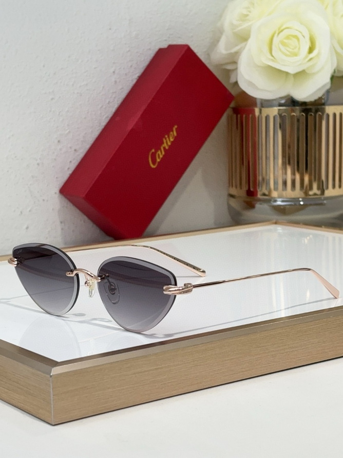Cartier Sunglasses(AAAA)-227