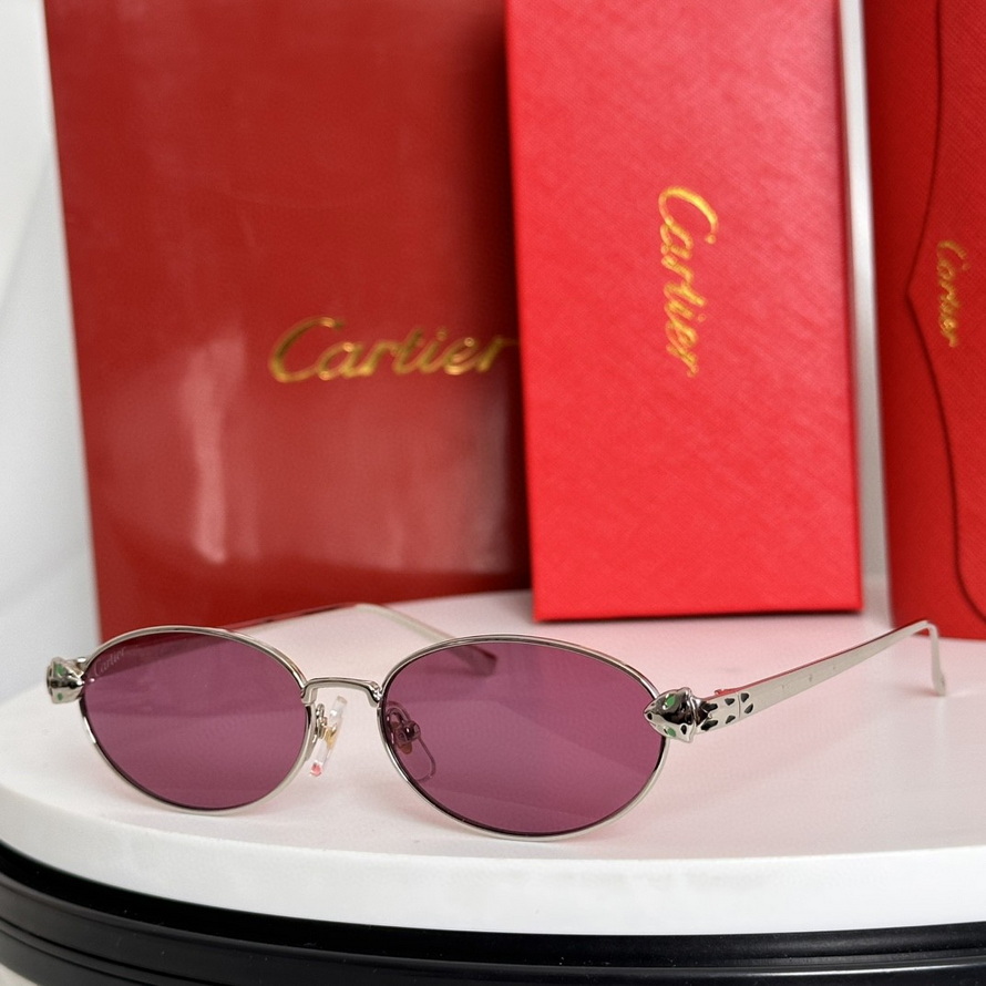 Cartier Sunglasses(AAAA)-173
