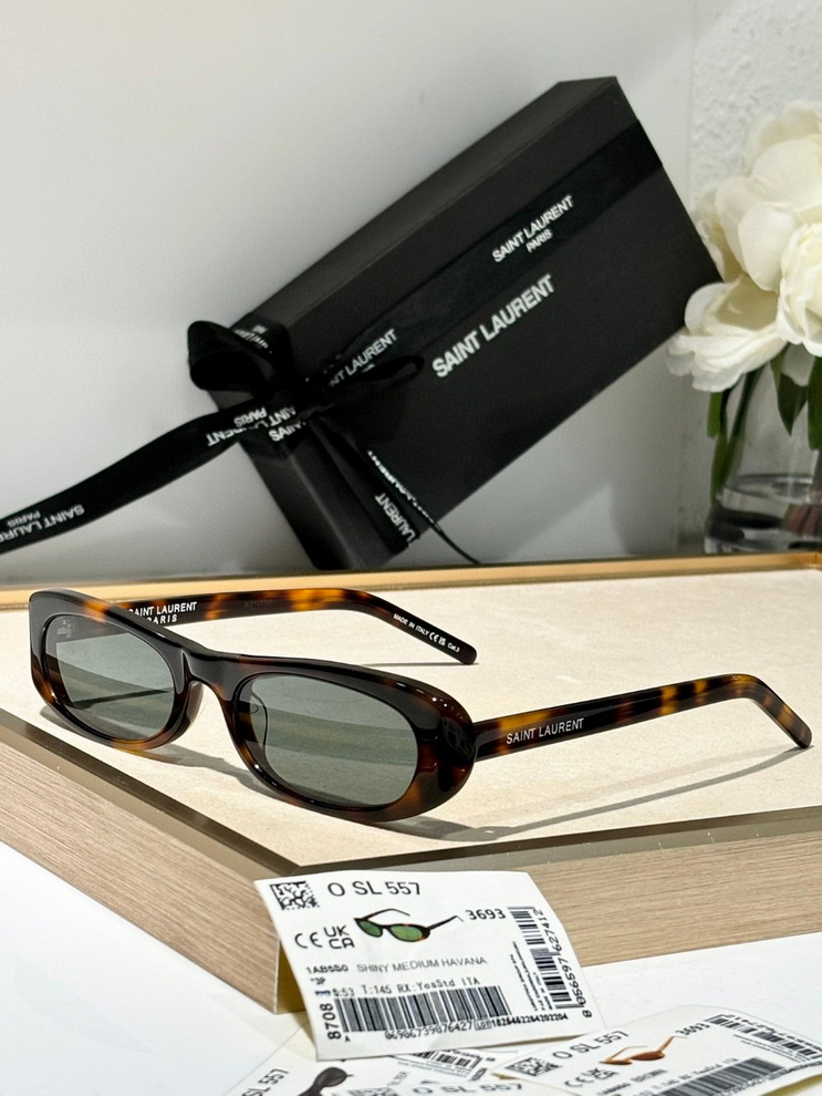 YSL Sunglasses(AAAA)-816