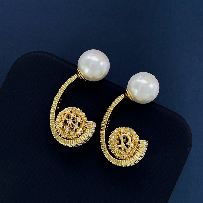 Dior Earrings-322