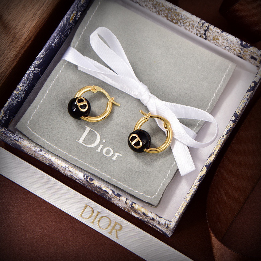 Dior Earrings-079