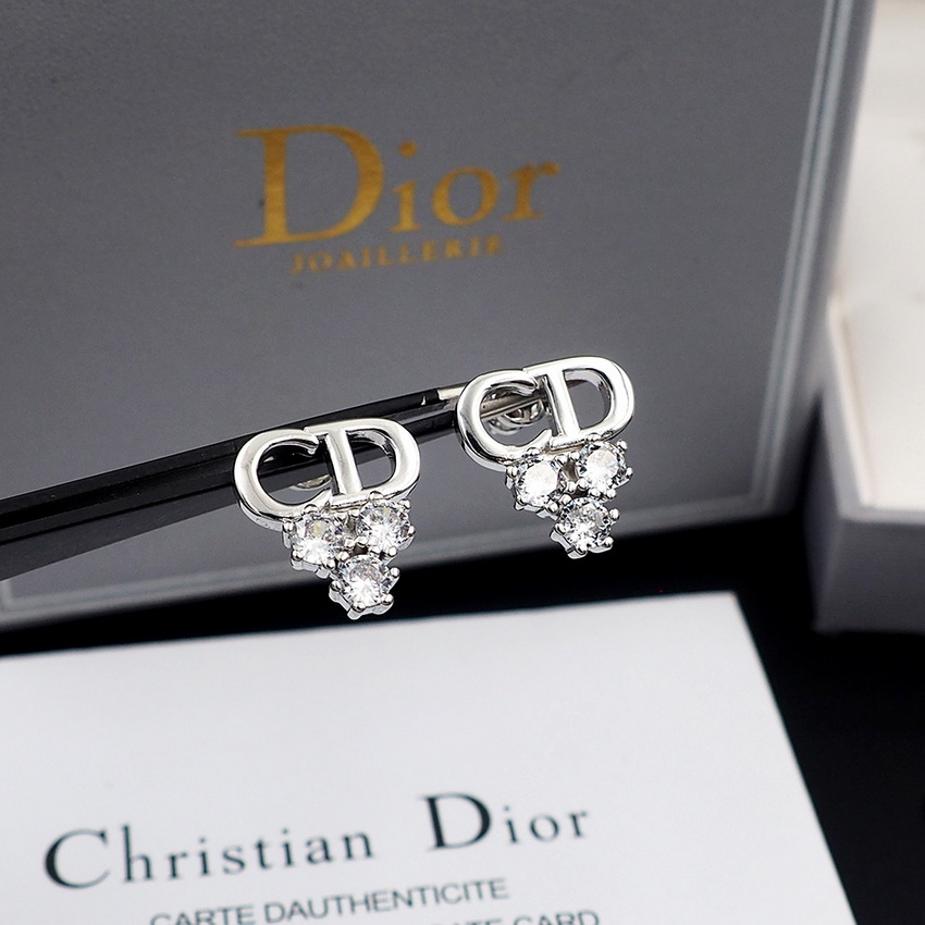 Dior Earrings-041