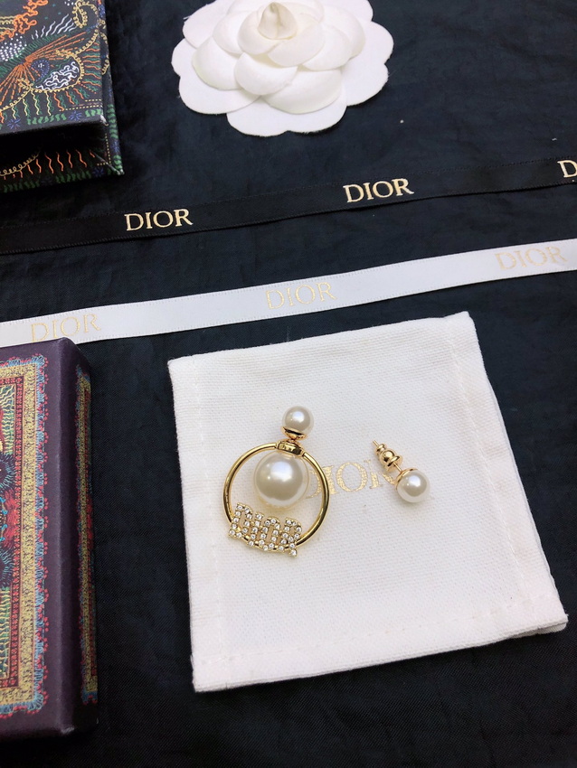 Dior Earrings-034