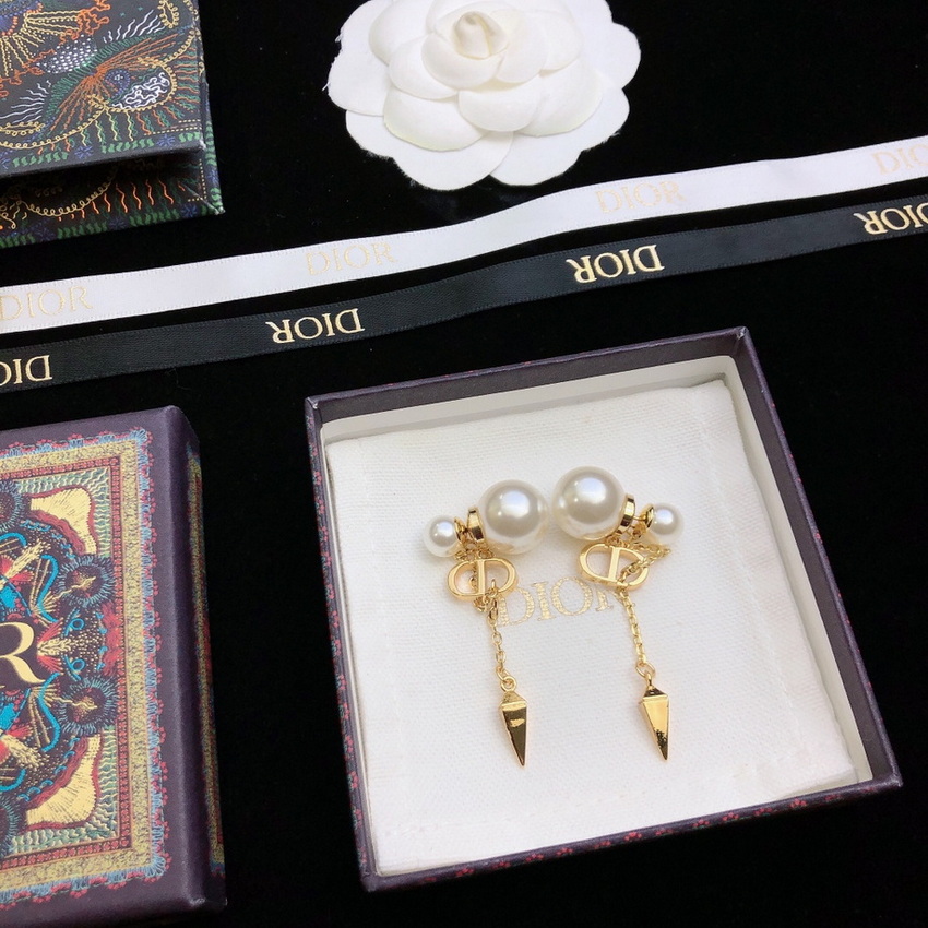 Dior Earrings-258