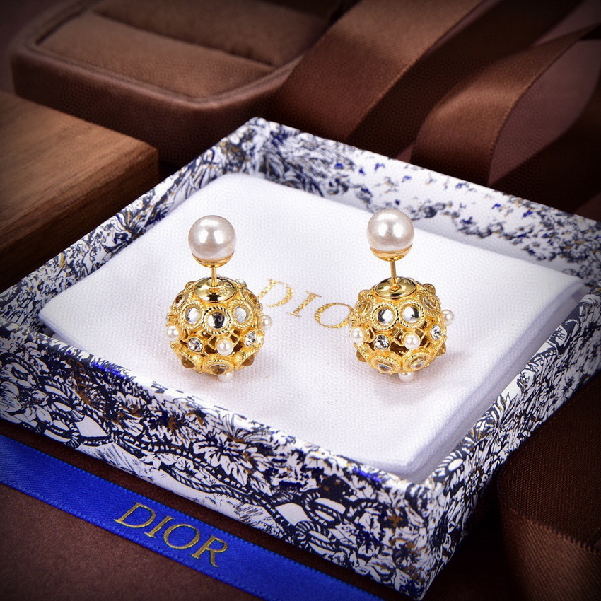 Dior Earrings-189