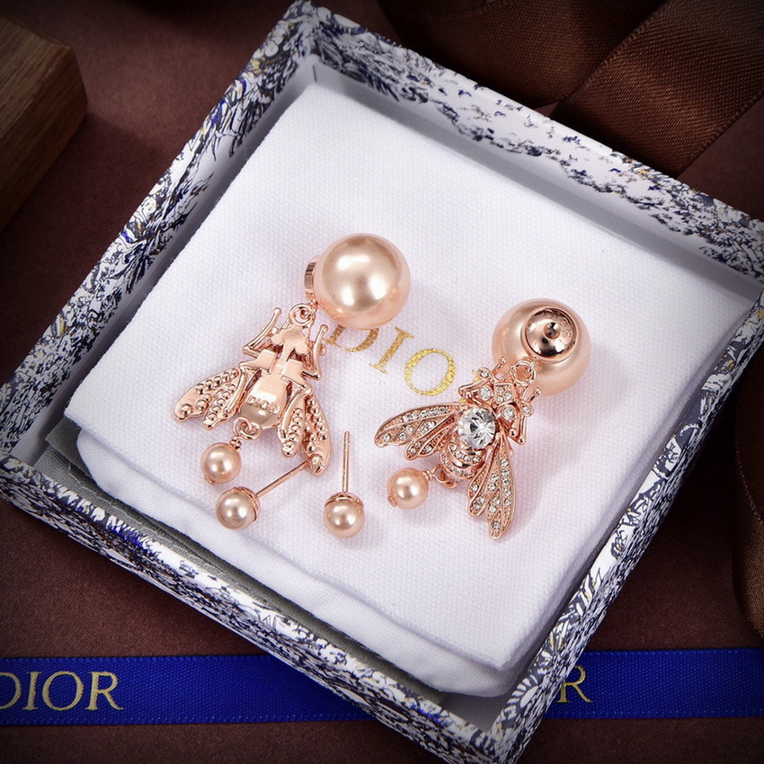 Dior Earrings-184