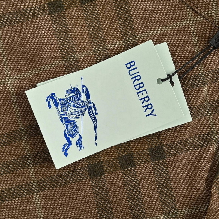 Burberry Pants(AAA)-002