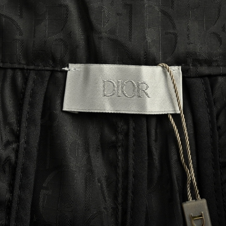 Dior Pants(AAA)-010