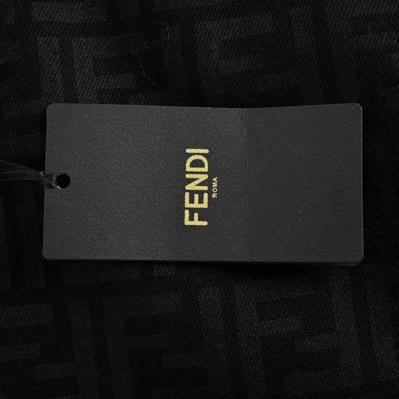 Fendi Pants(AAA)-003