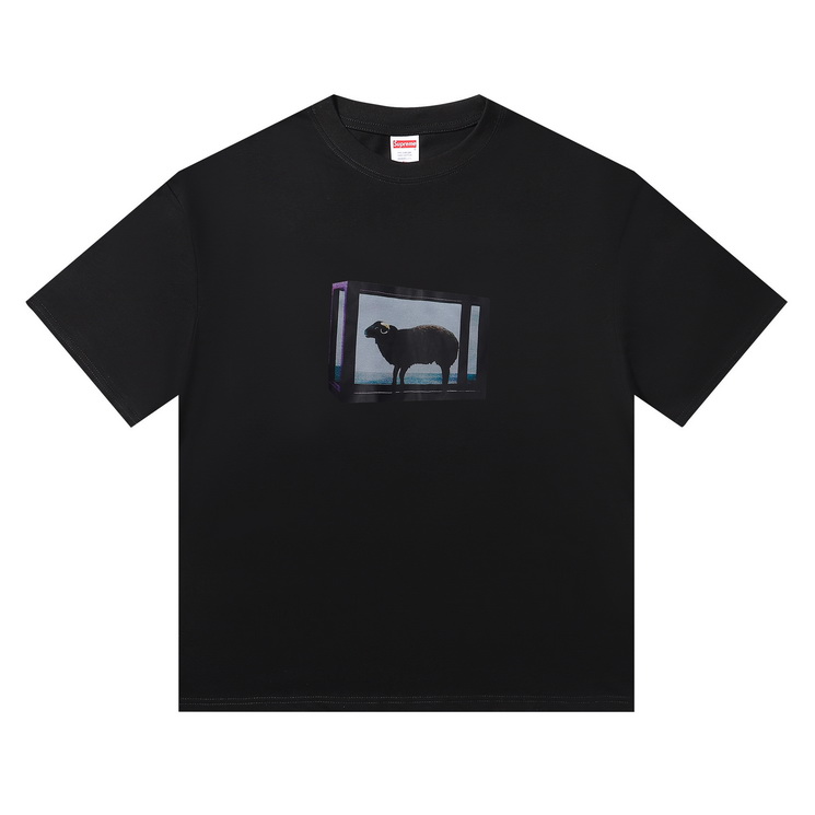 Supreme T-shirts-144