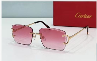 Cartier Sunglasses(AAAA)-190