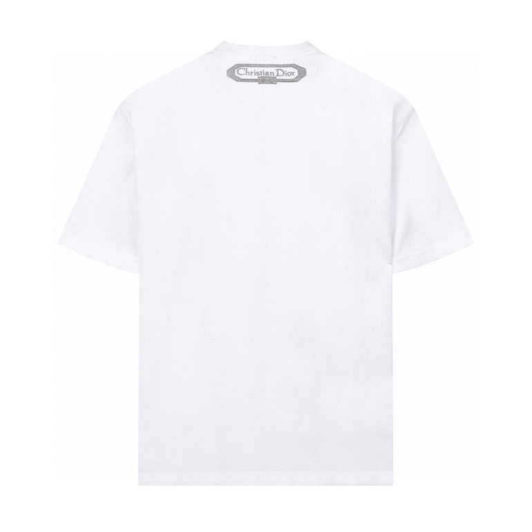 DIOR T-shirts-277