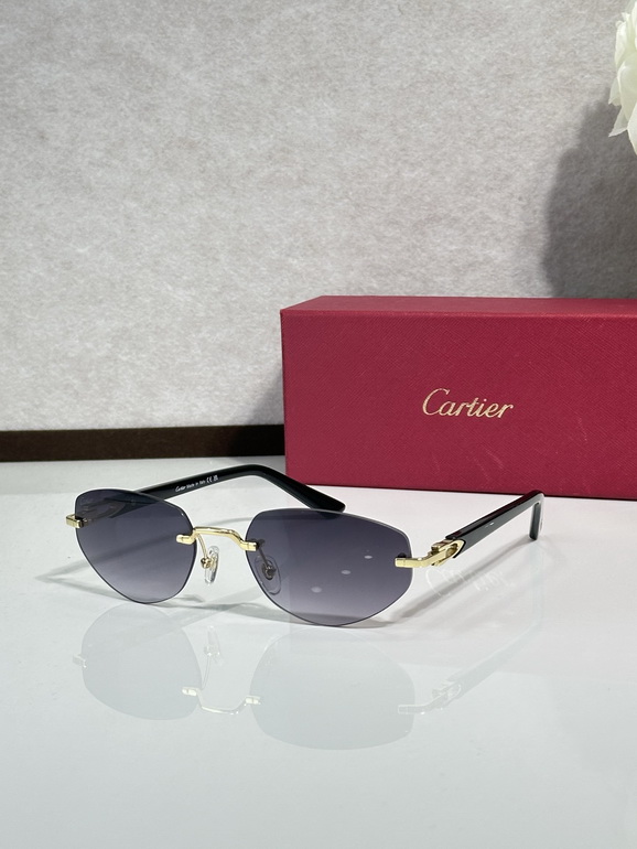 Cartier Sunglasses(AAAA)-1726