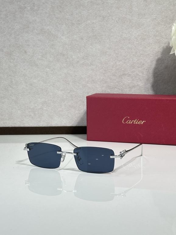Cartier Sunglasses(AAAA)-1721
