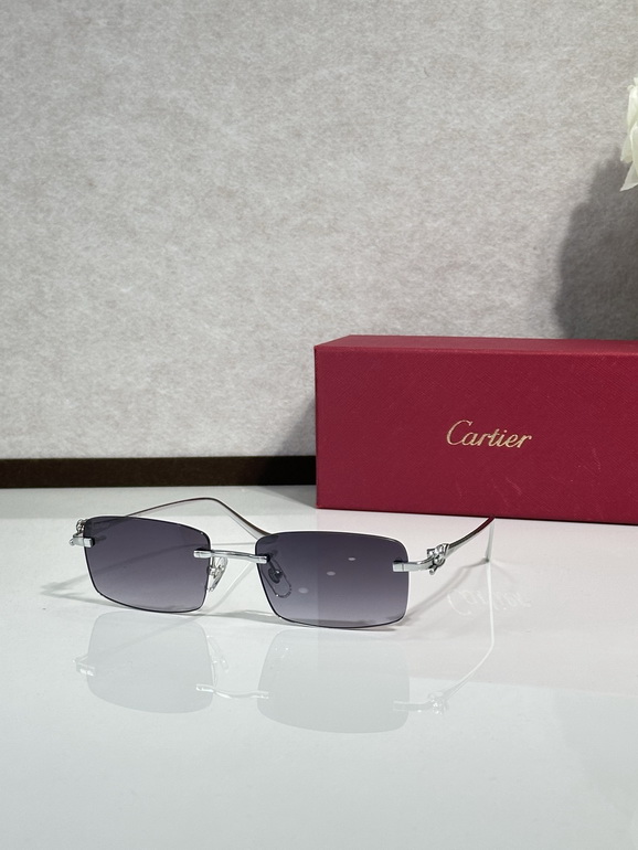 Cartier Sunglasses(AAAA)-1719