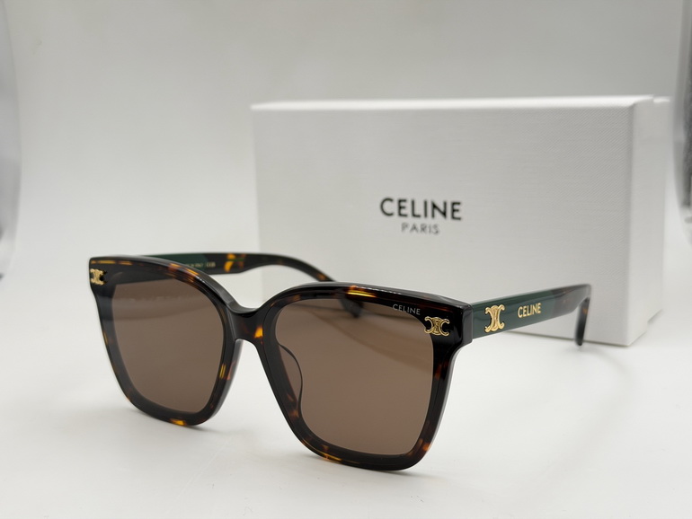 CELINE Sunglasses(AAAA)-312