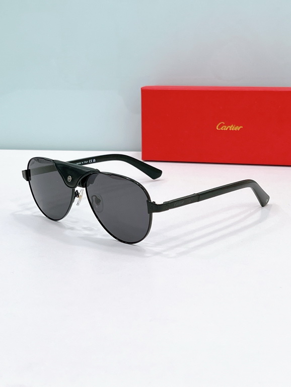 Cartier Sunglasses(AAAA)-1193