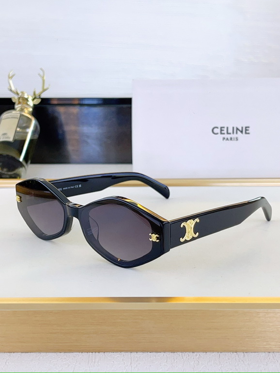 CELINE Sunglasses(AAAA)-173