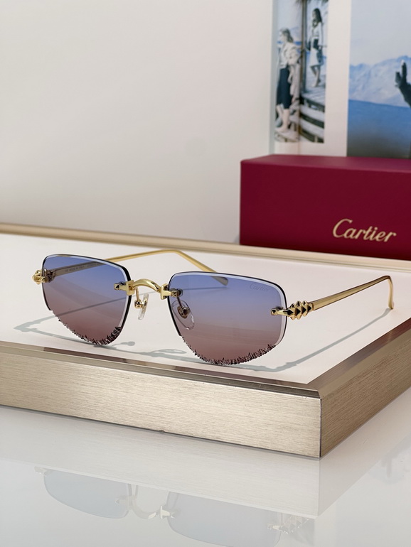 Cartier Sunglasses(AAAA)-102