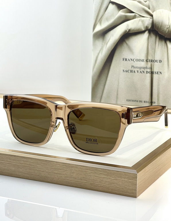 Dior Sunglasses(AAAA)-789