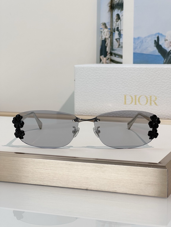 Dior Sunglasses(AAAA)-065