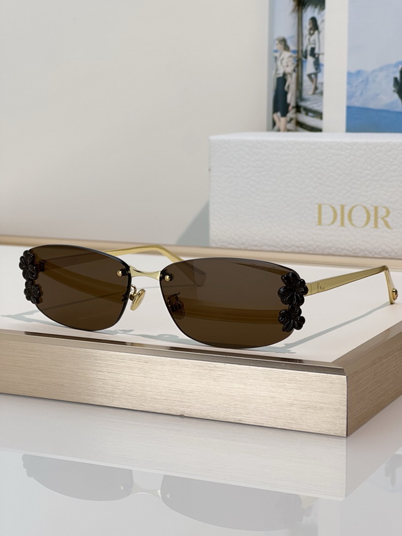 Dior Sunglasses(AAAA)-061