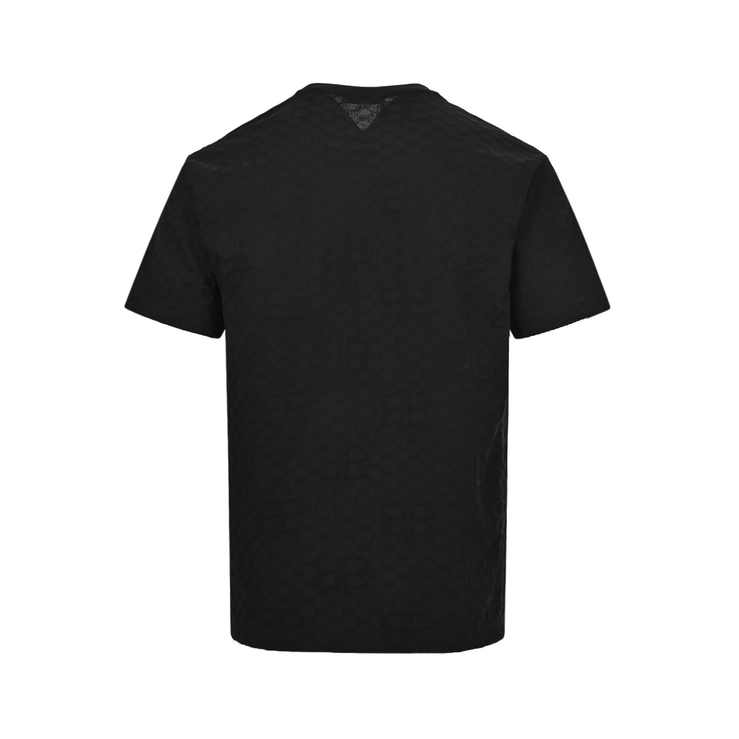 Balenciaga T-shirts-1381