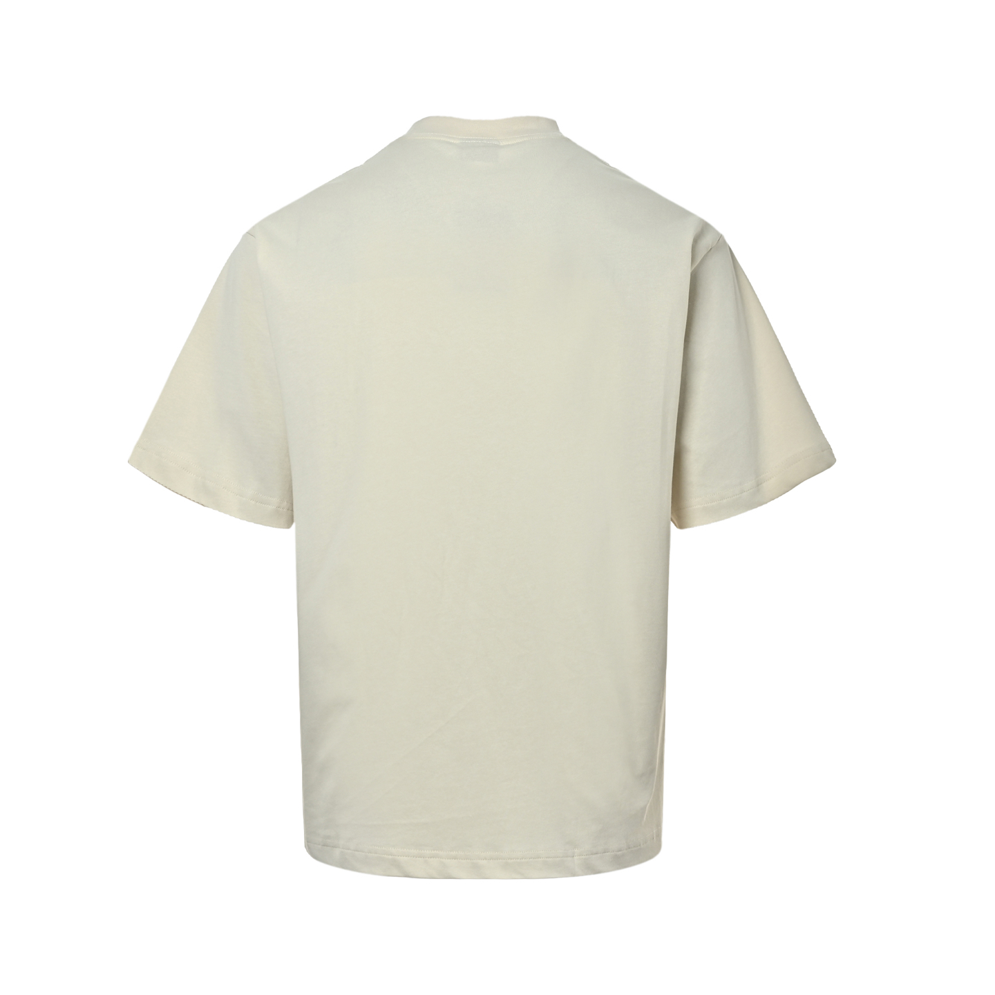 Balenciaga T-shirts-1313