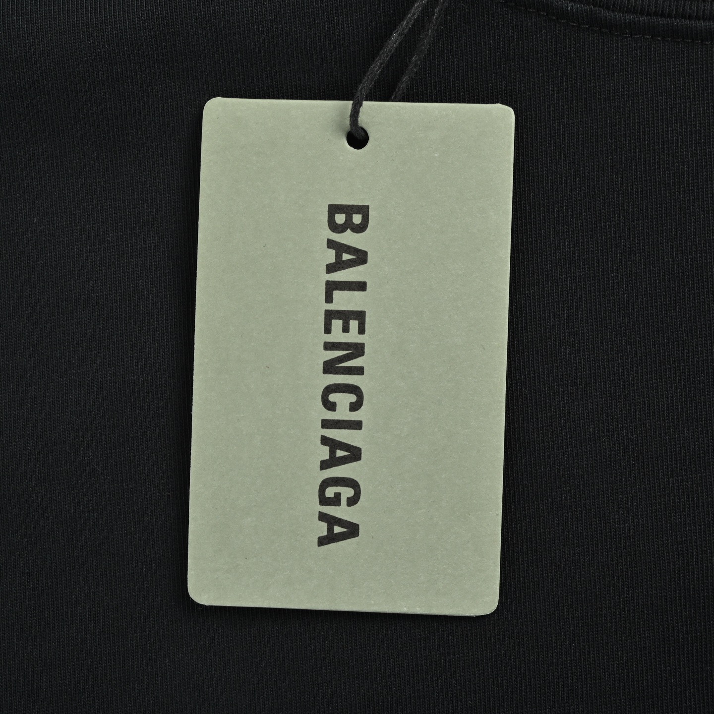 Balenciaga T-shirts-1289