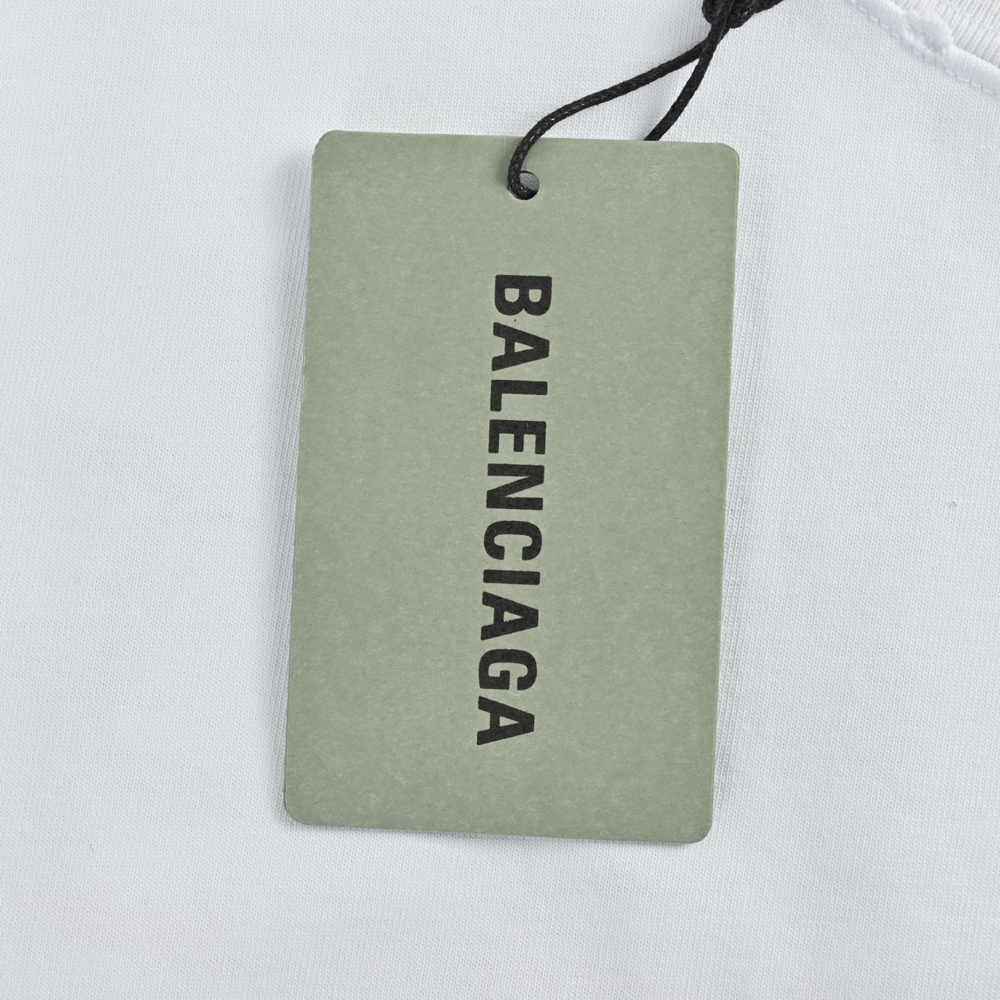 Balenciaga T-shirts-1290