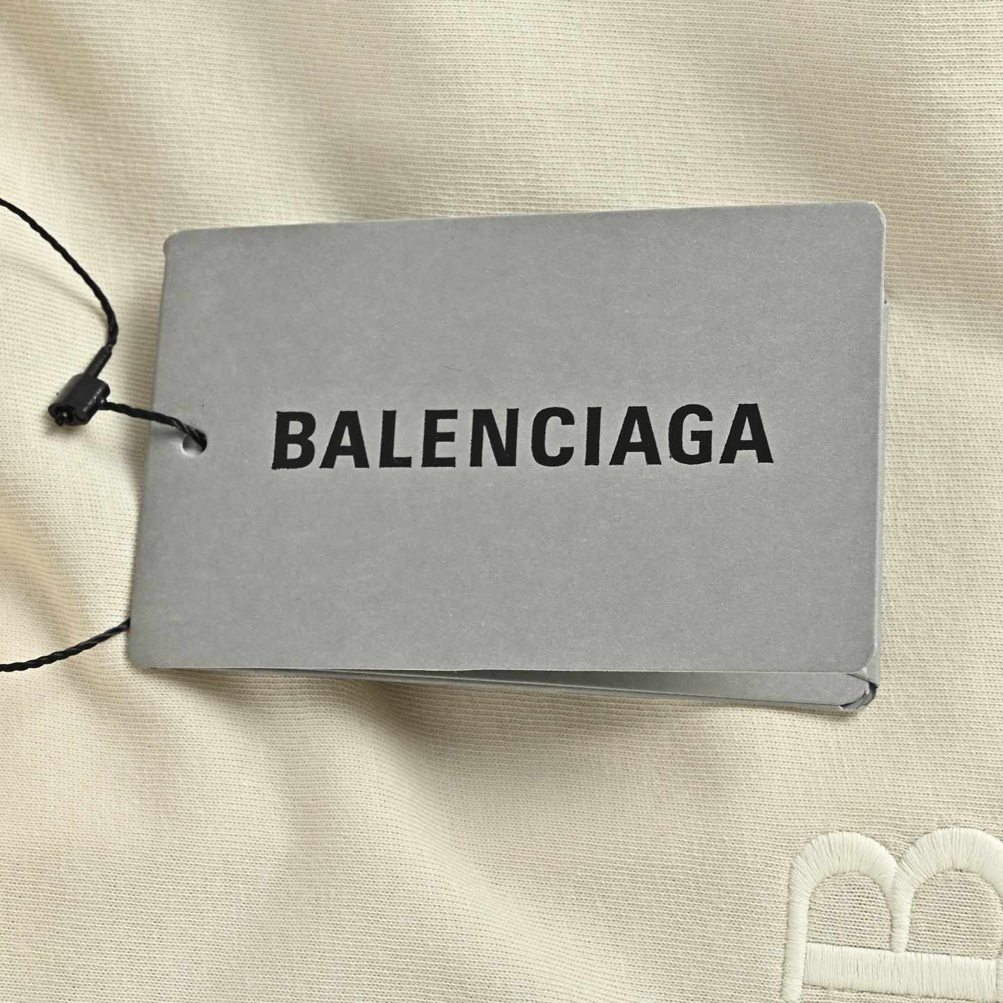 Balenciaga T-shirts-1313