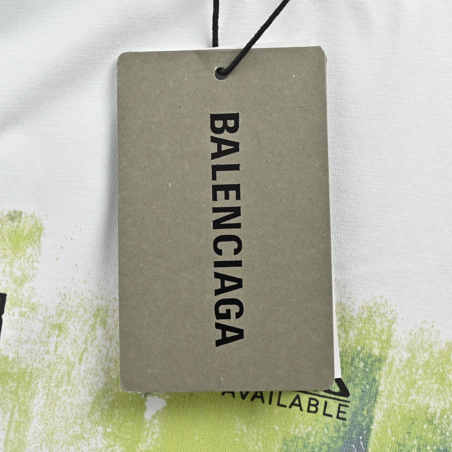 Balenciaga T-shirts-1424