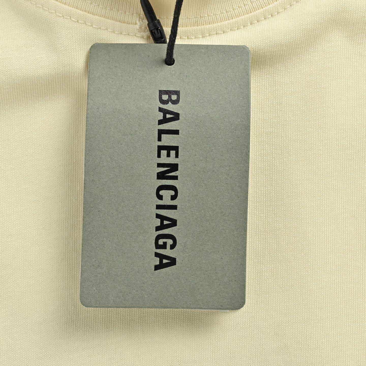 Balenciaga T-shirts-1474
