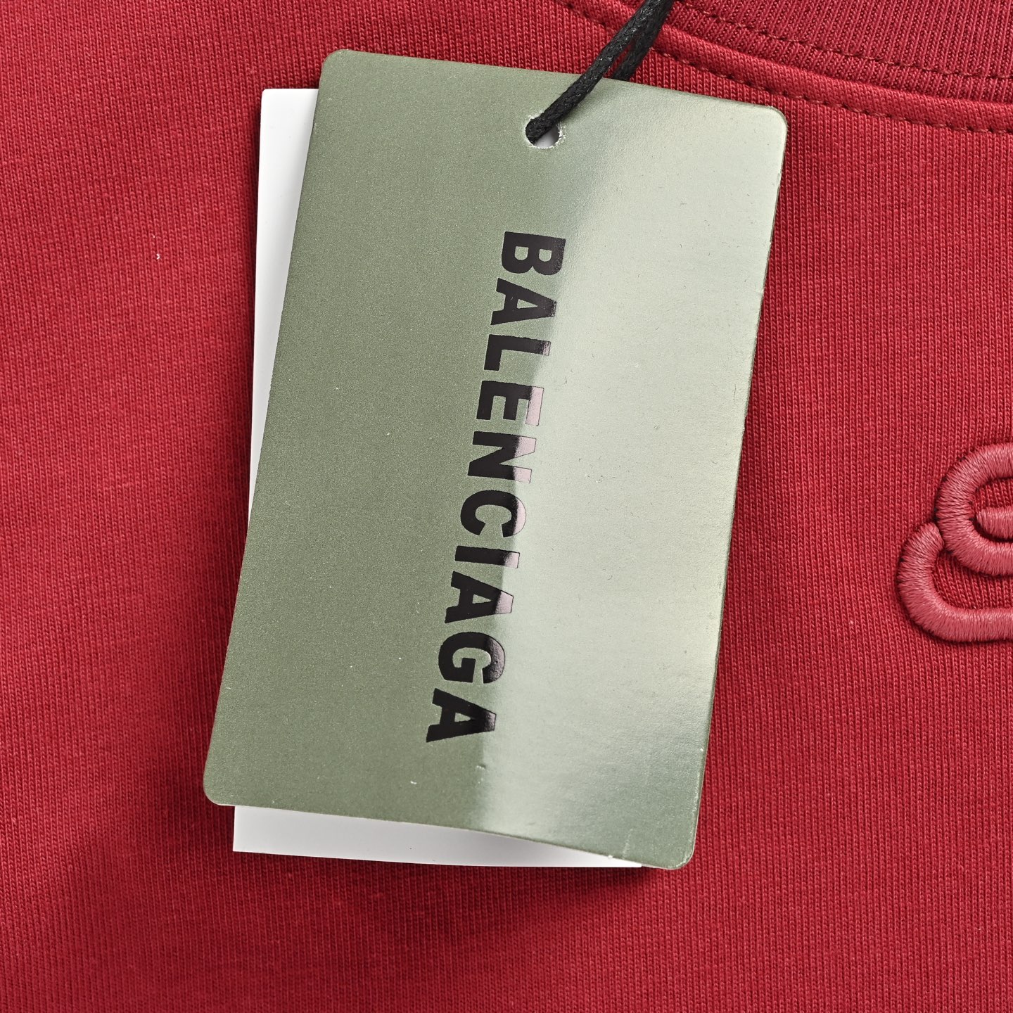 Balenciaga T-shirts-1315