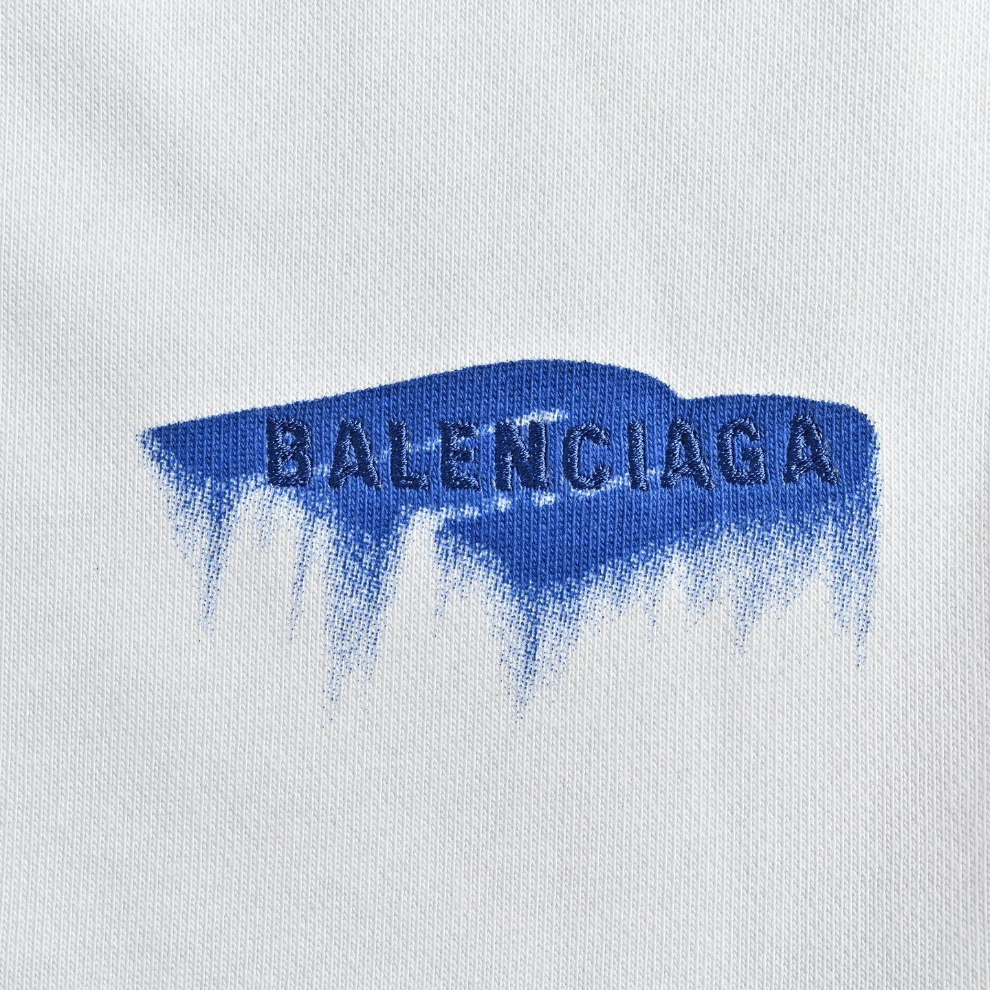Balenciaga Shorts-129