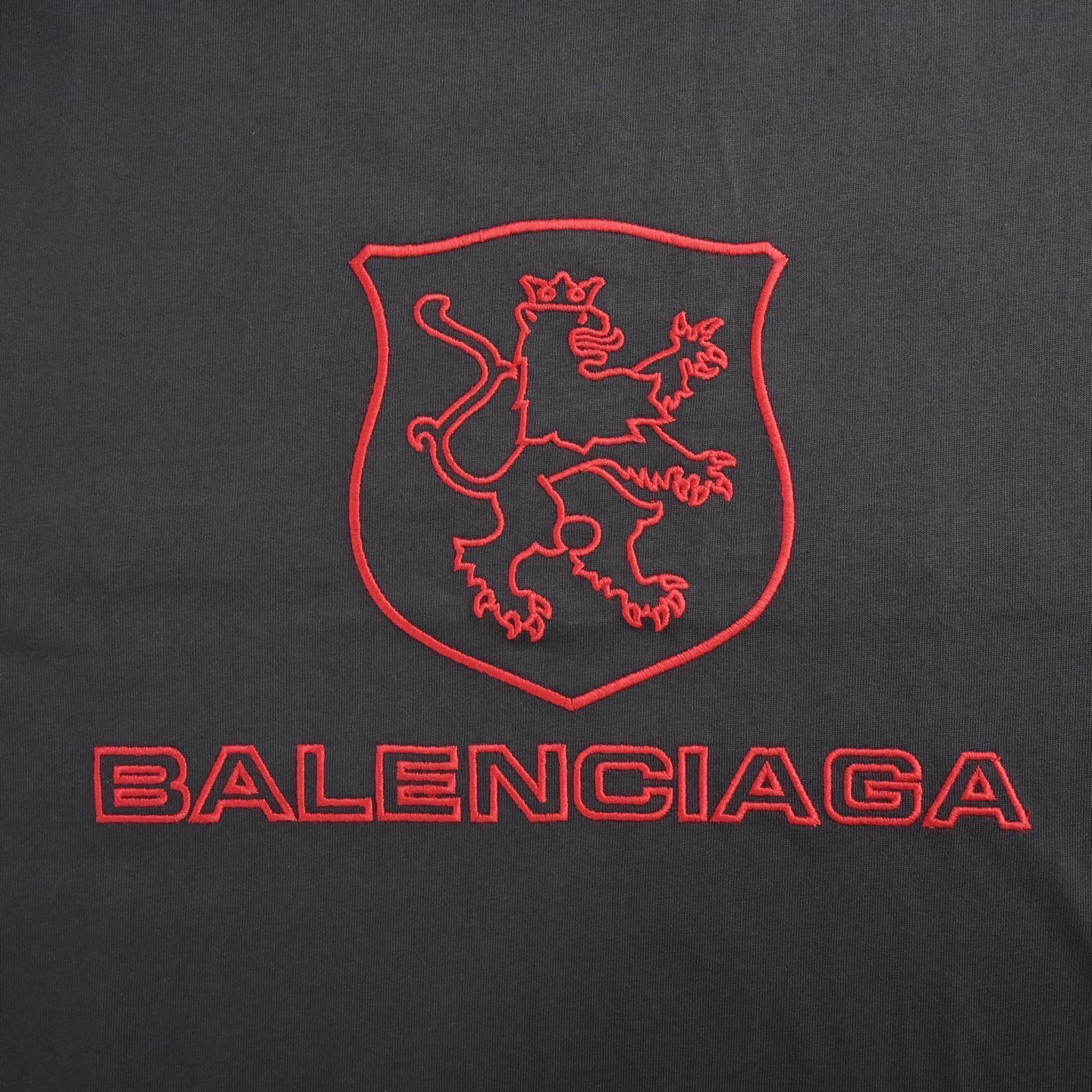 Balenciaga T-shirts-1398