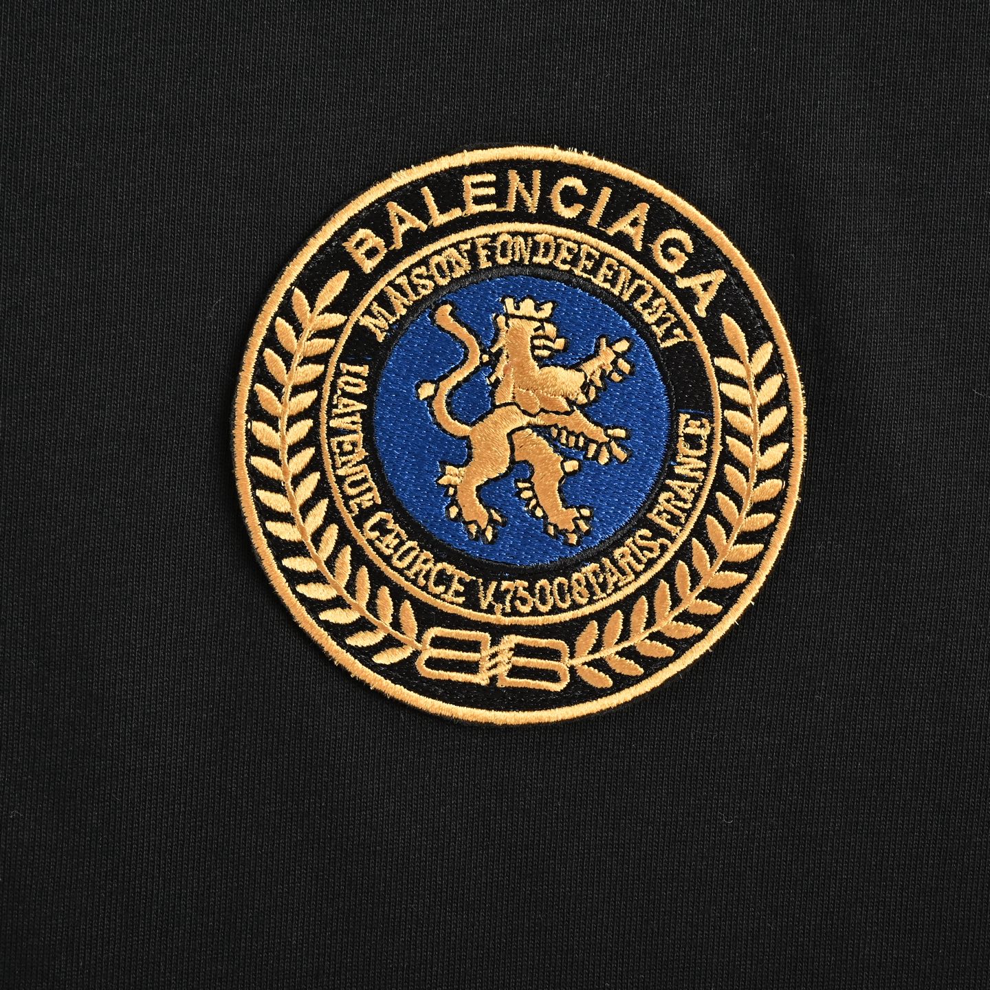 Balenciaga T-shirts-1265