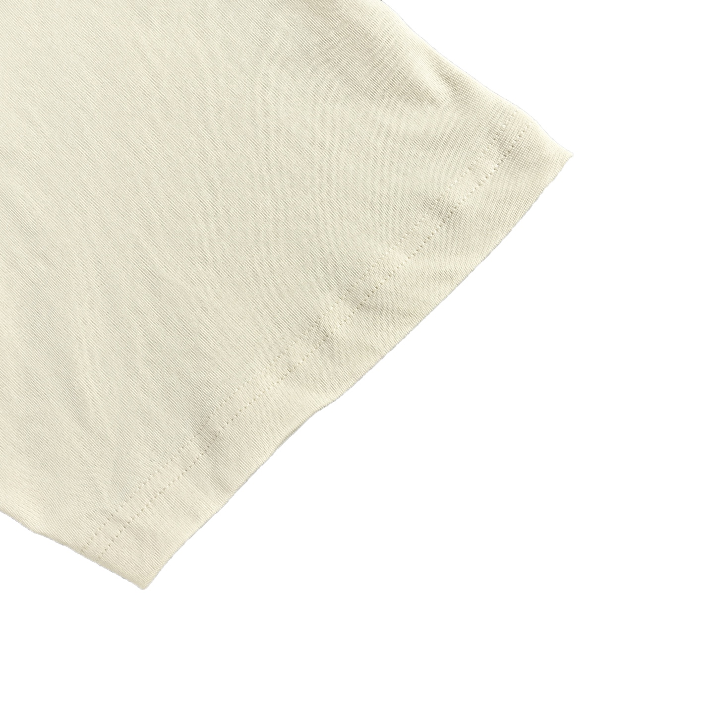 Balenciaga T-shirts-1313