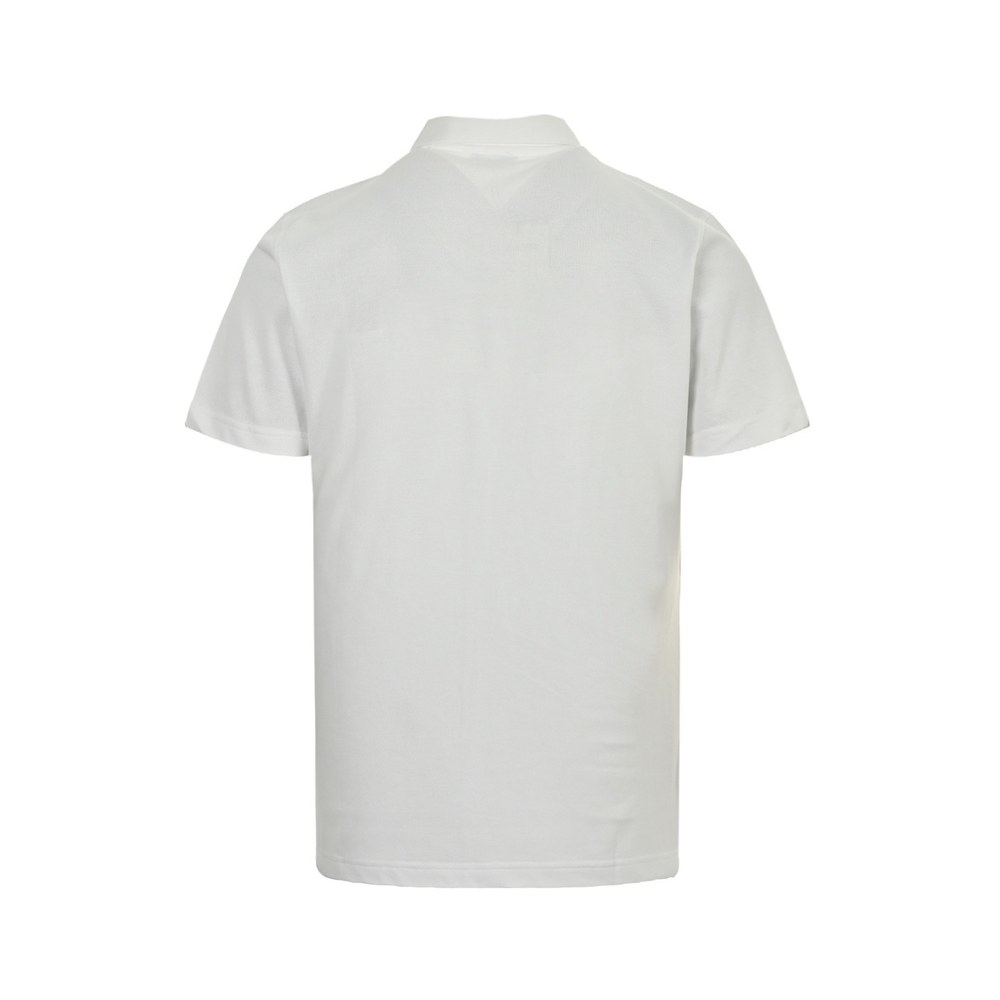 Burberry Polo(AAA)-019