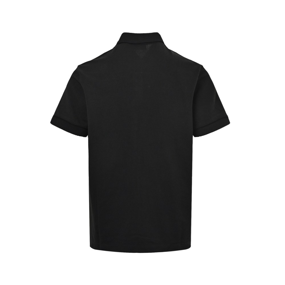 Burberry Polo(AAA)-060