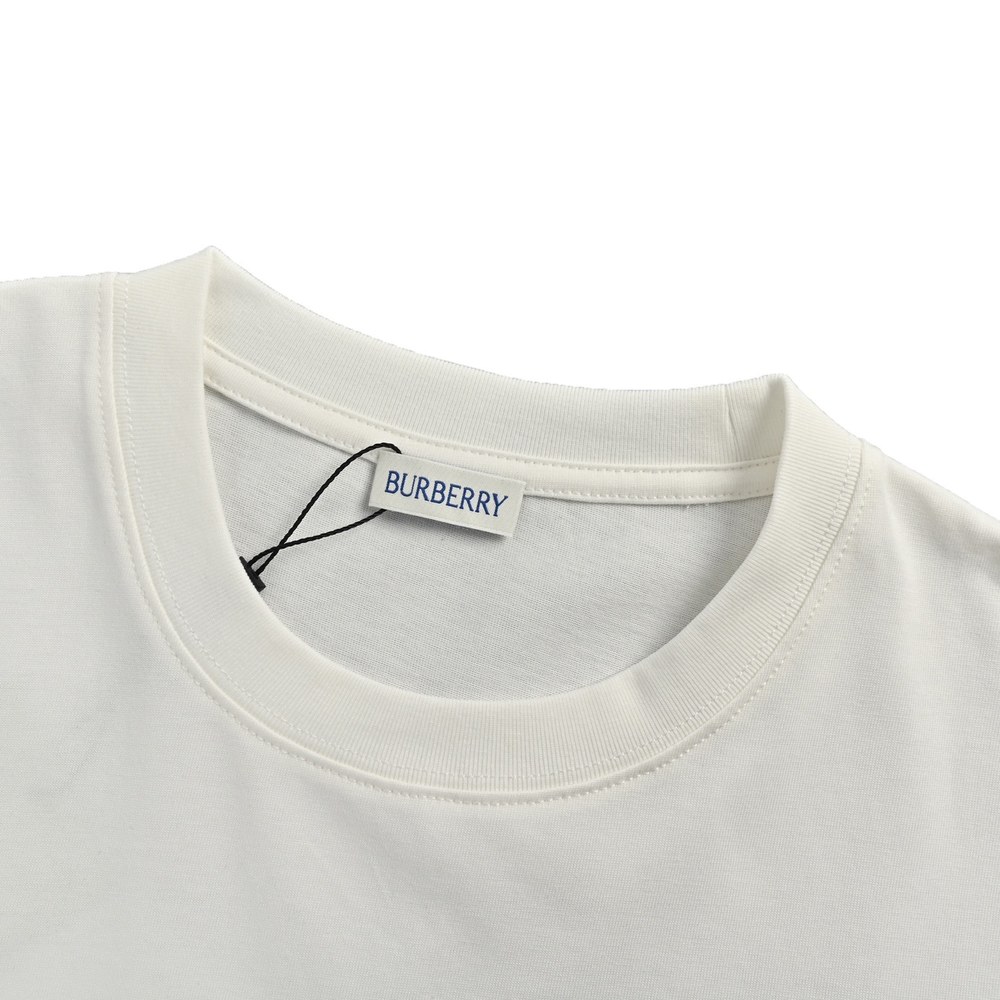 Burberry T-shirts-1072