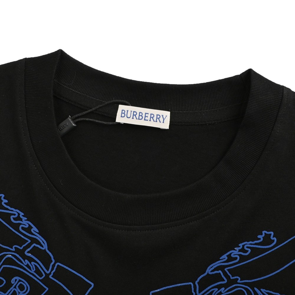 Burberry T-shirts-1084
