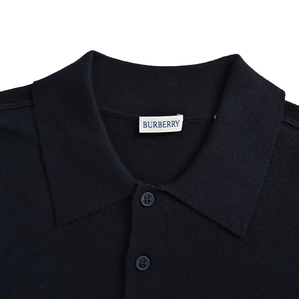 Burberry Polo(AAA)-080