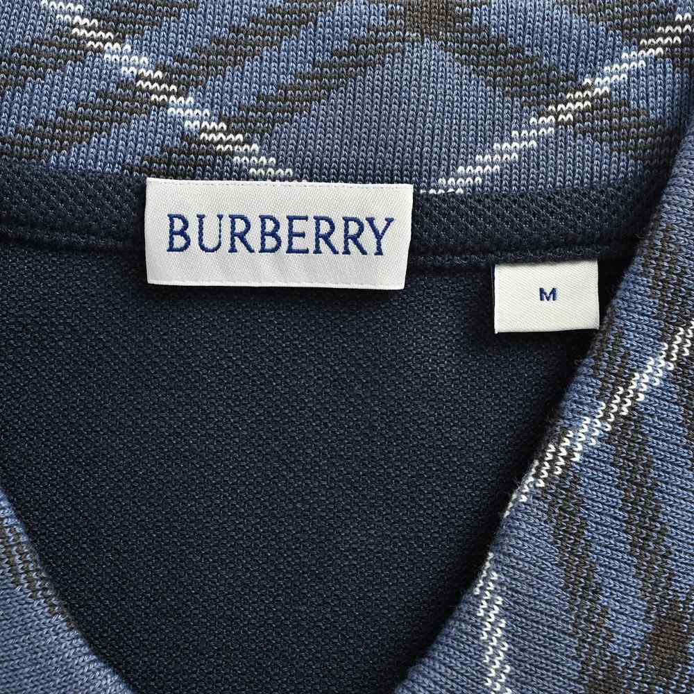 Burberry Polo(AAA)-045
