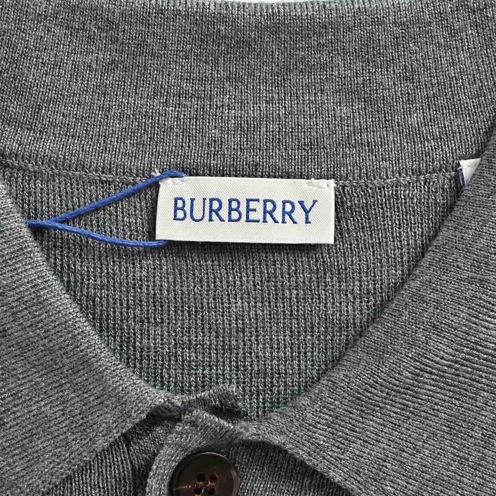 Burberry Polo(AAA)-076