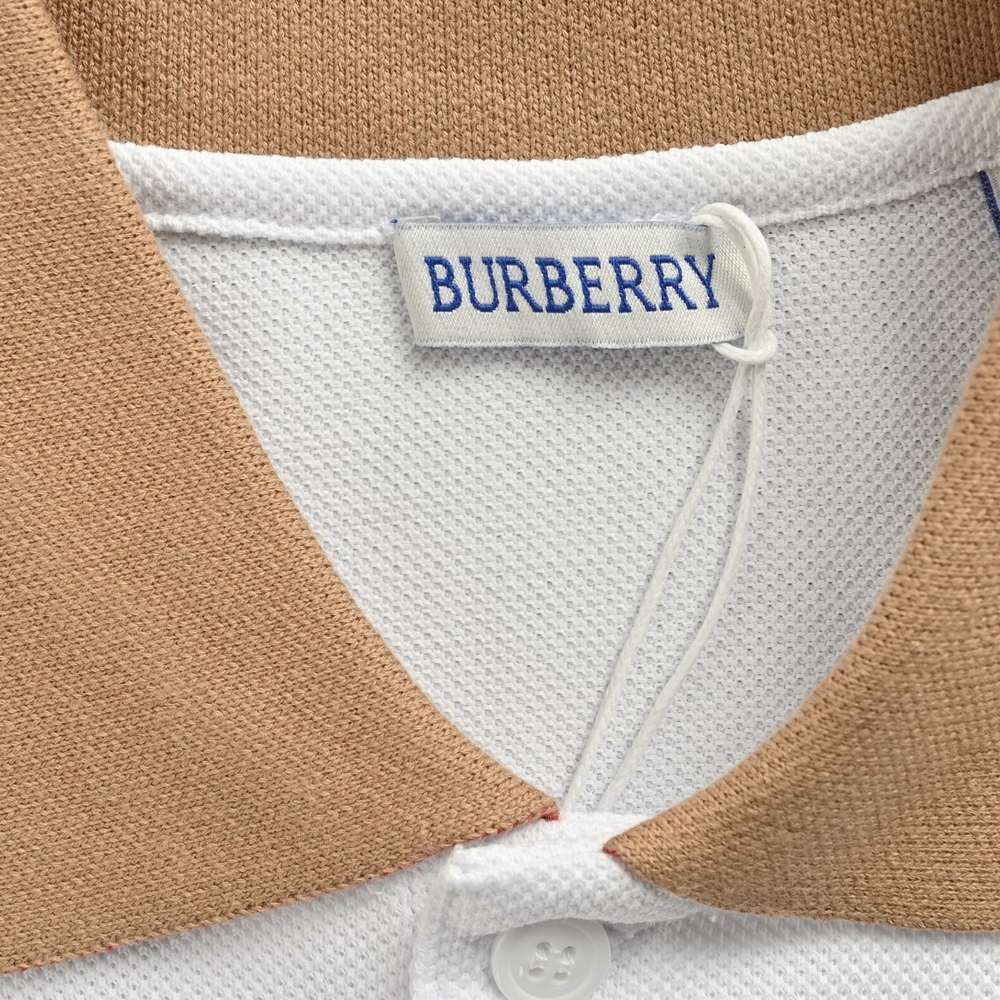 Burberry Polo(AAA)-010