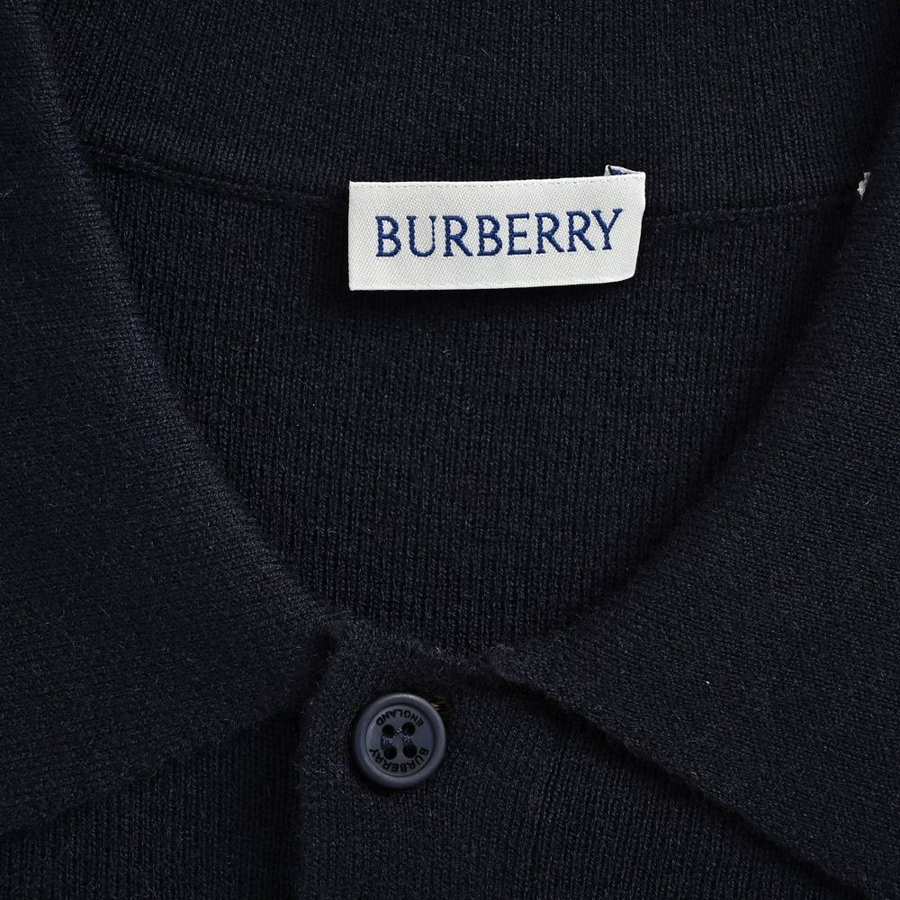 Burberry Polo(AAA)-080