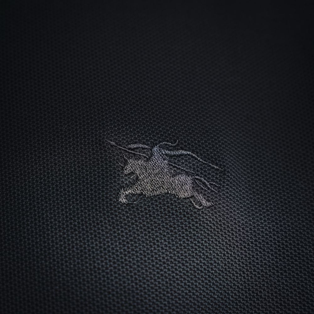 Burberry Polo(AAA)-074
