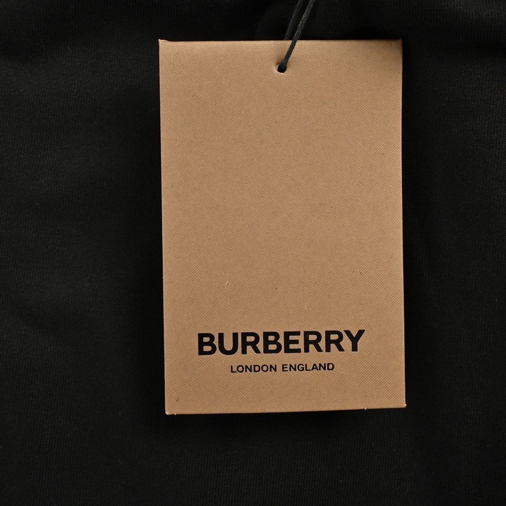 Burberry Pants-017